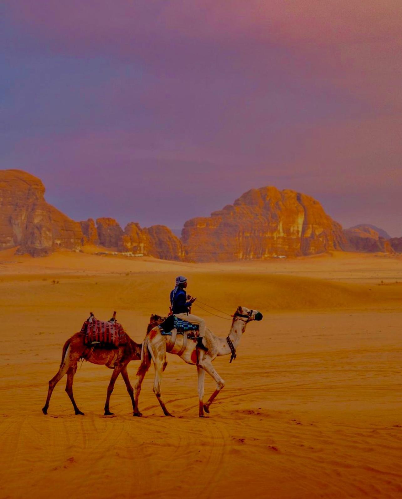 Hidden Wadi Rum Camp Exterior photo