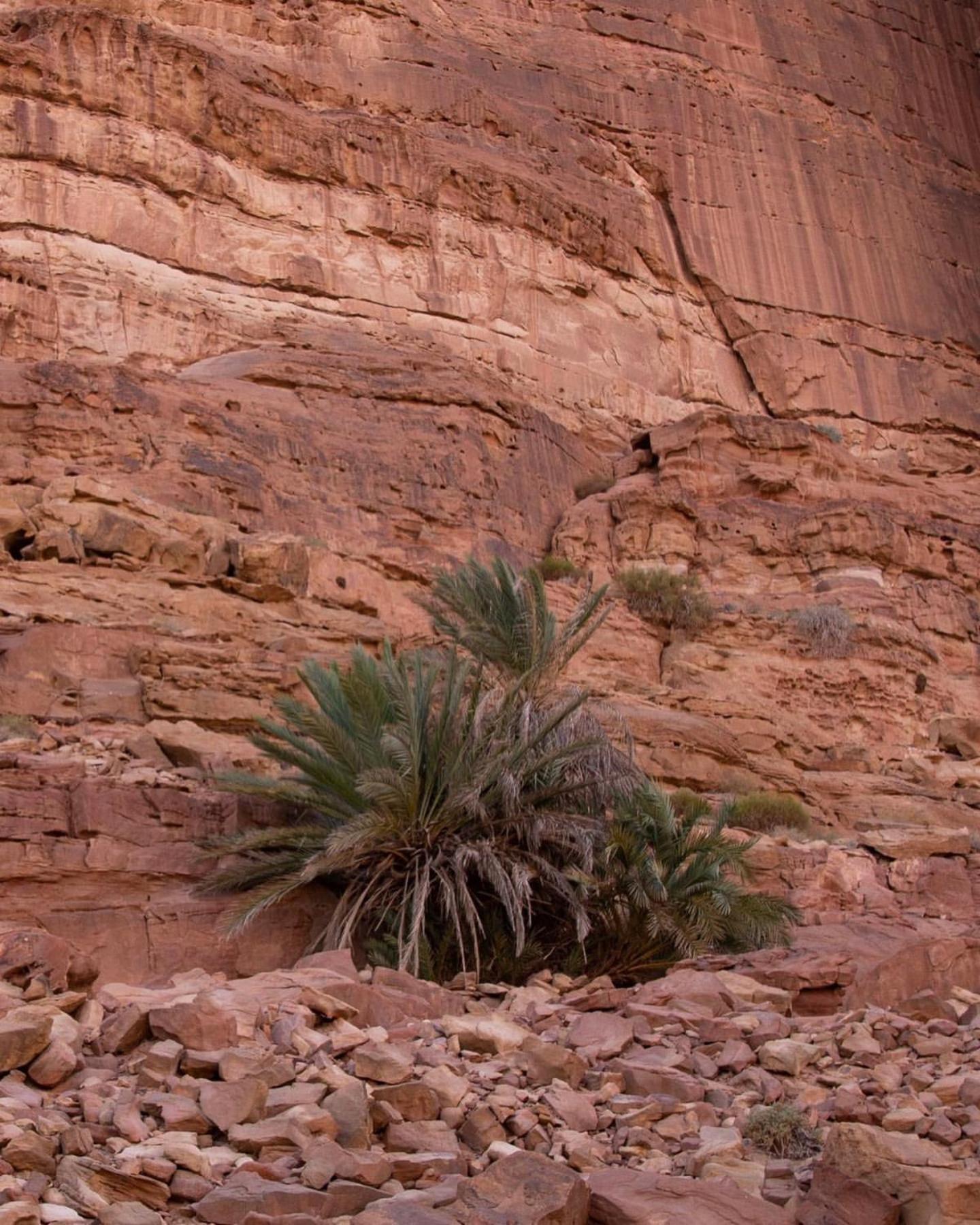 Hidden Wadi Rum Camp Exterior photo